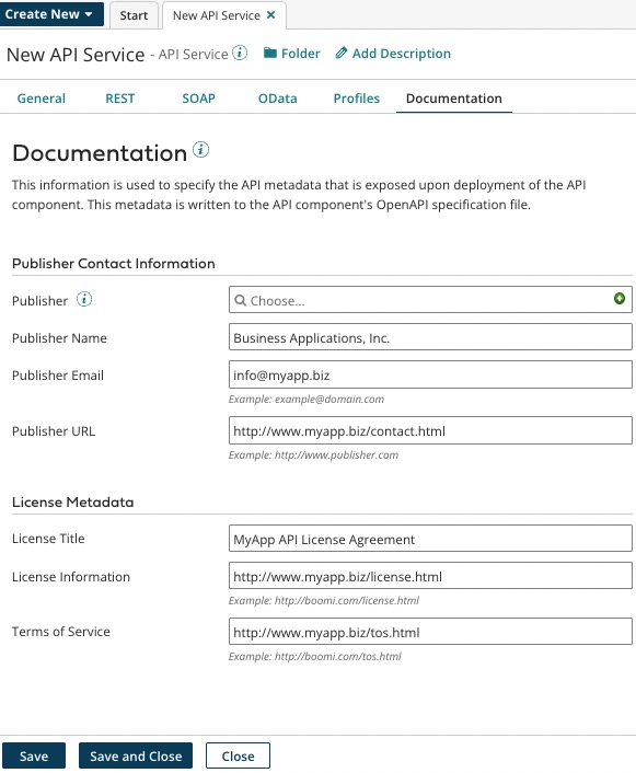 API Documentation tab.