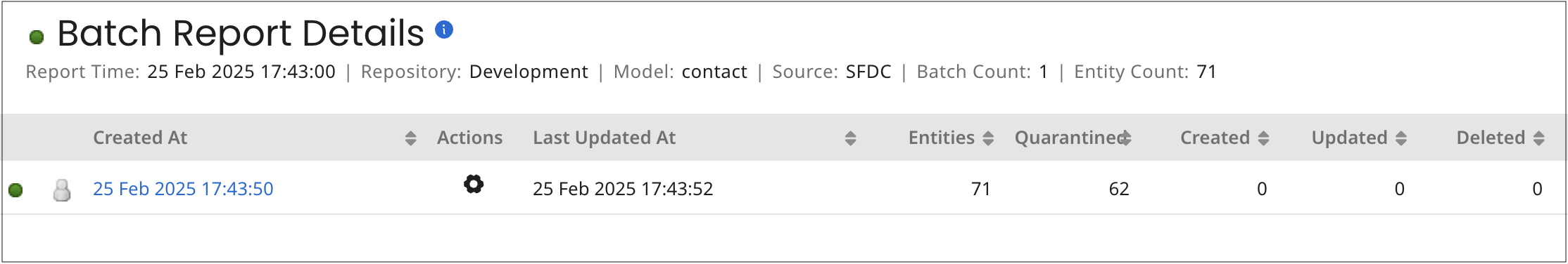 Batch Report Details view example