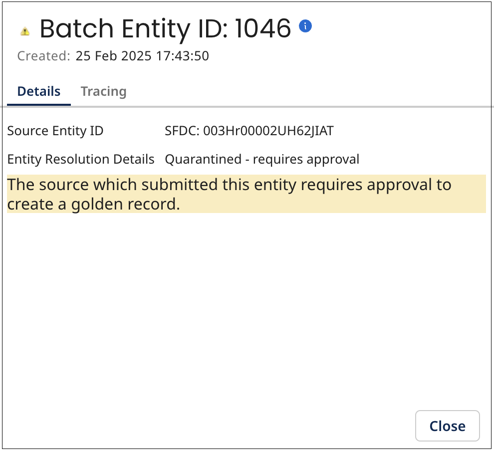 Entity Processing Details dialog example